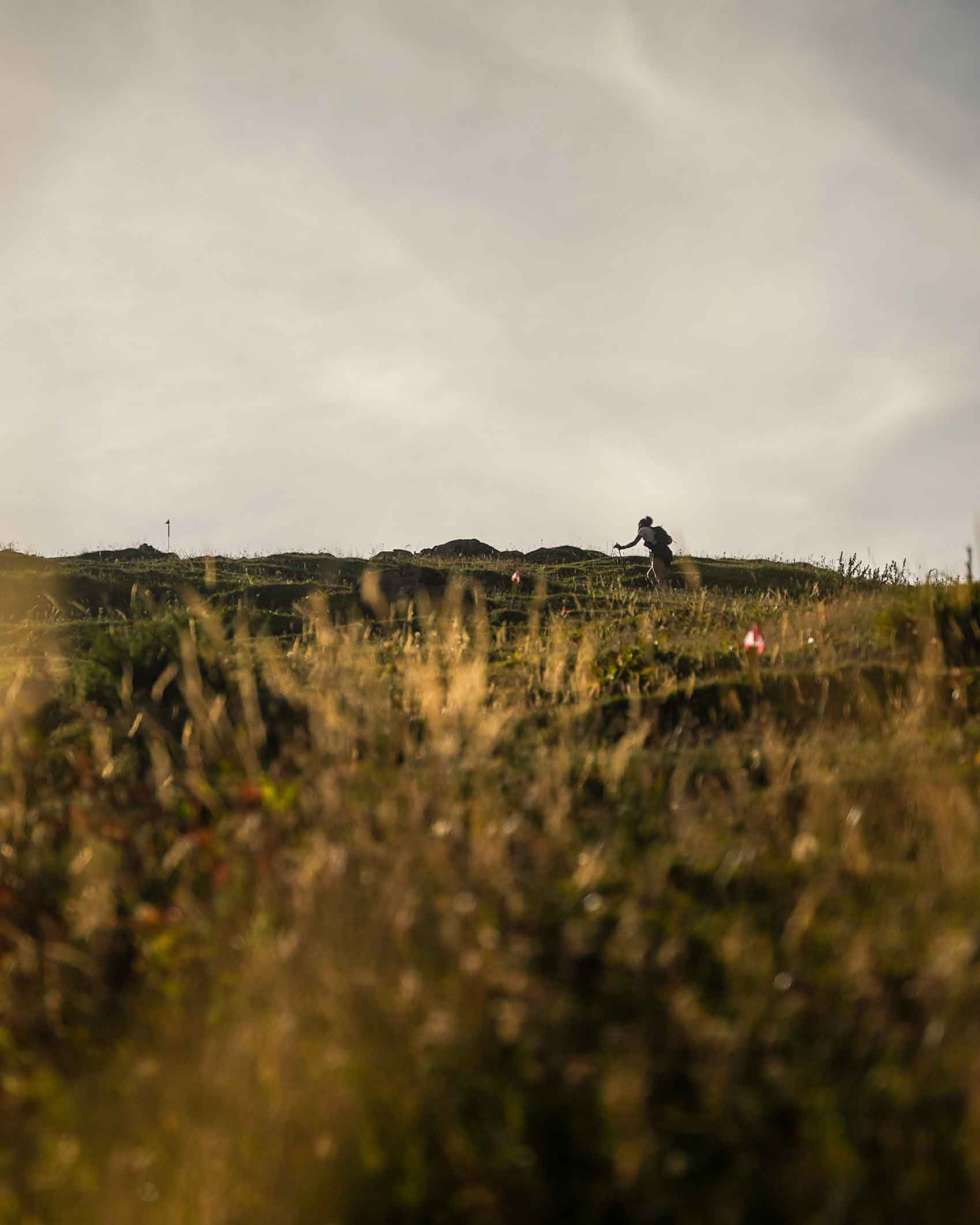 À l'ombre des sommets - documentaire