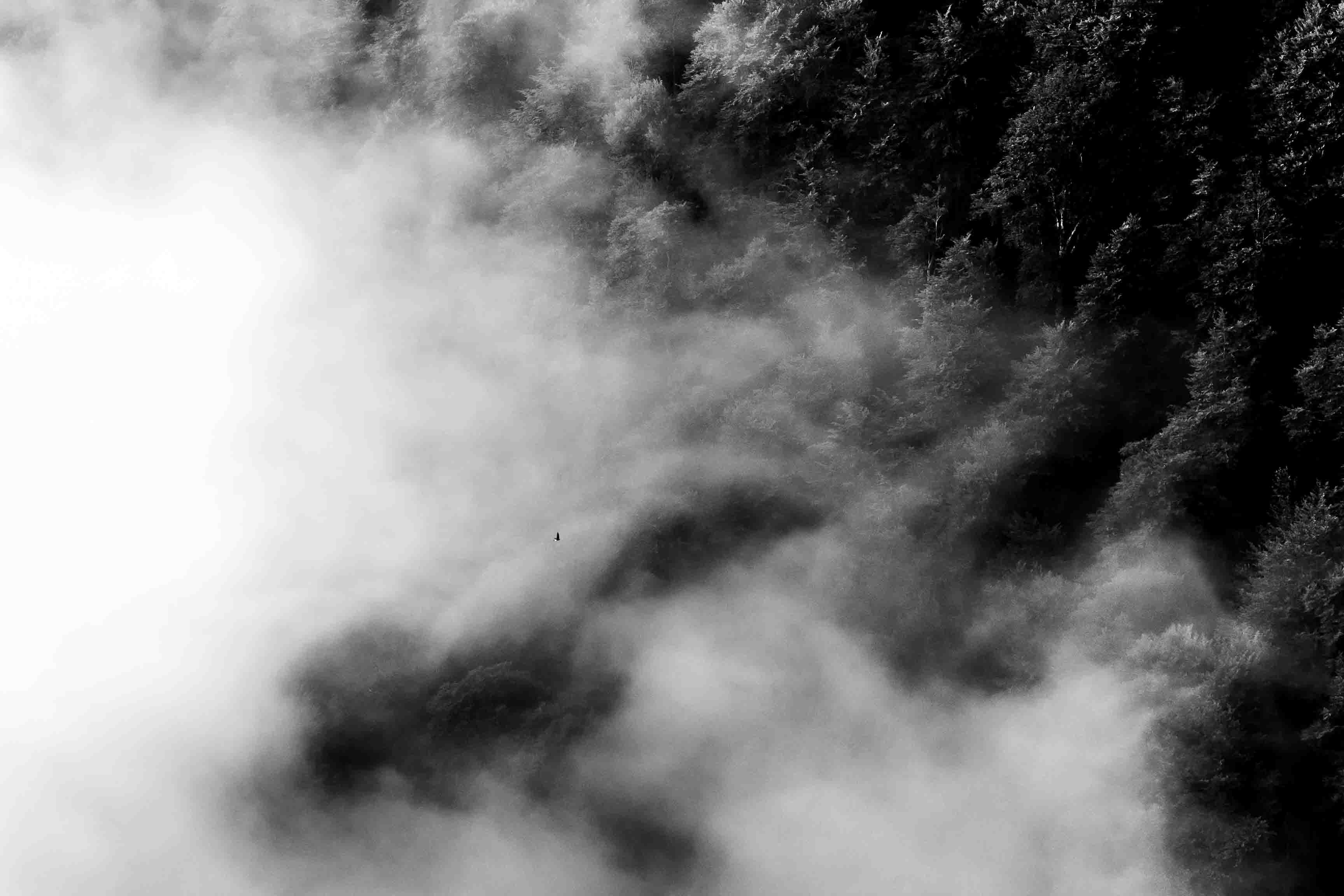 Oiseau volant devant des nuages en noir et blanc
