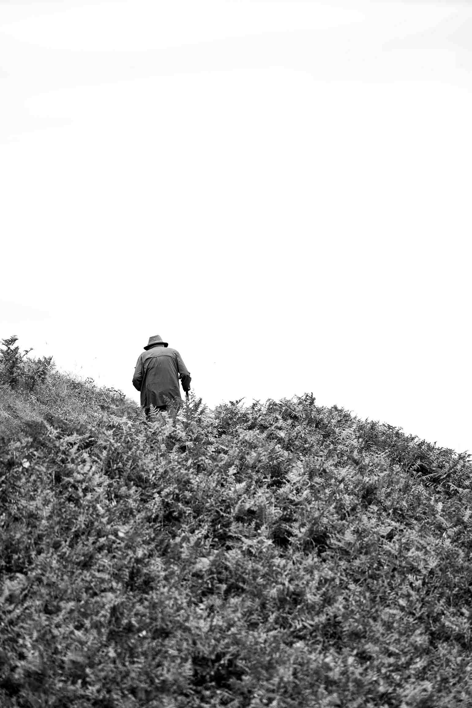 Randonneur marchant dans un paysage de Bretagne