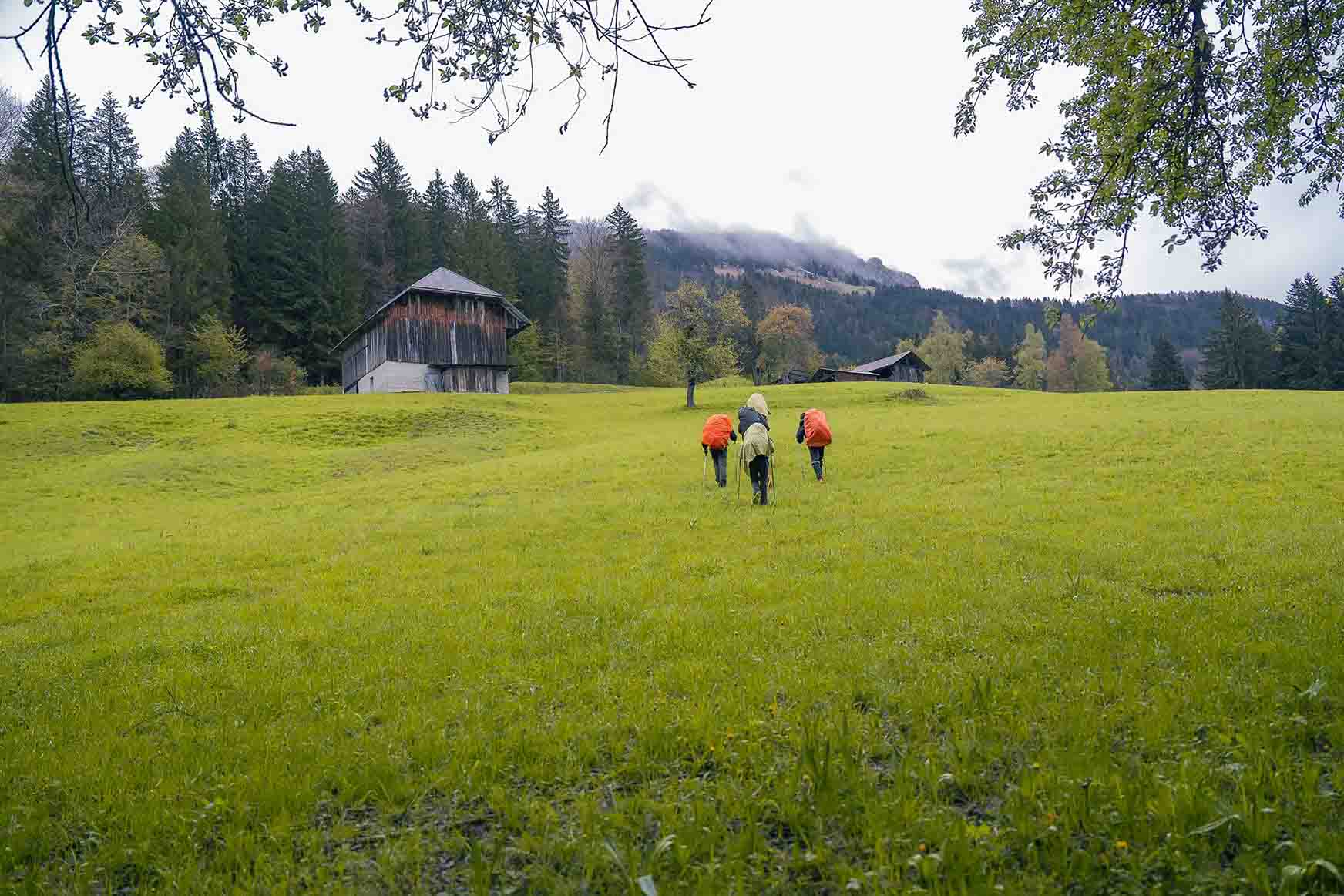 Randonneurs dans un paysage verdoyant près du lac d'Annecy